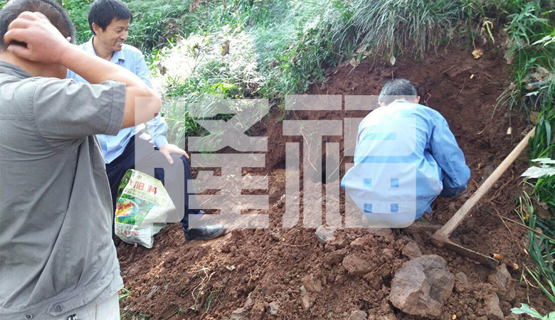 白蟻防治現(xiàn)場