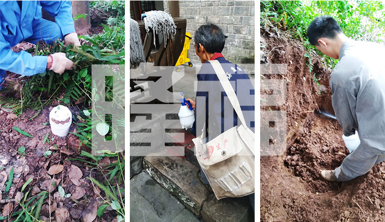 白蟻消殺現(xiàn)場