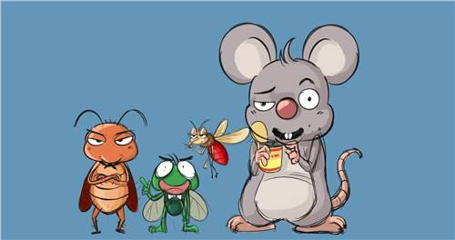 白蟻消殺 白蟻對園林綠化危害嚴(yán)重性