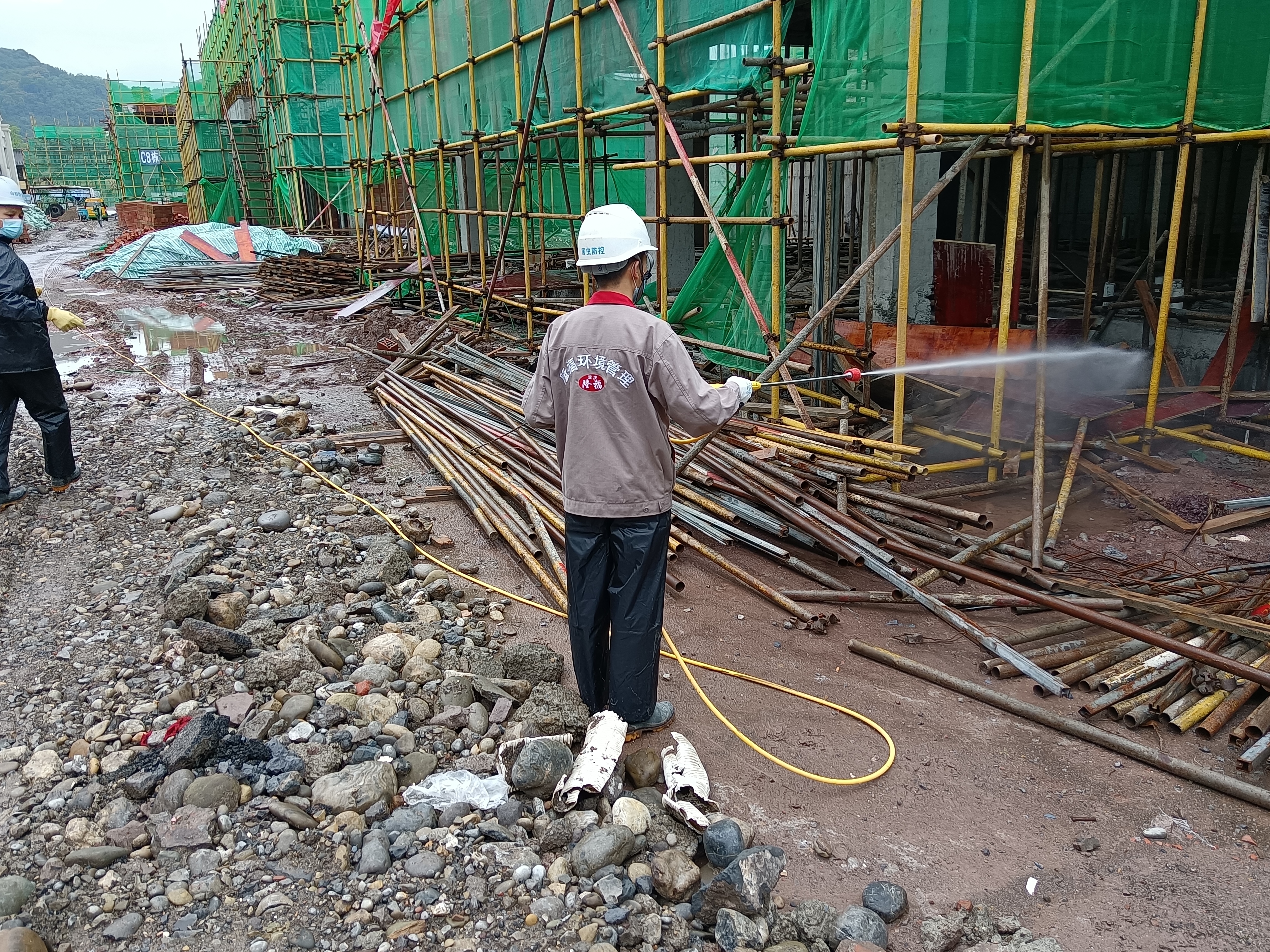 白蟻防治現(xiàn)場